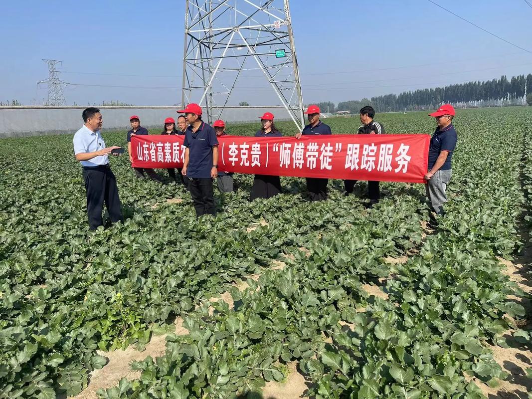 优质农产品 #记录我的种植生活 #一份耕耘一份收获 #丰收 - 抖音